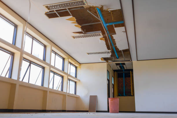 Best Ceiling water damage repair  in Pollock Pines, CA