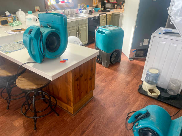 Best Water damage restoration specialists  in Pollock Pines, CA