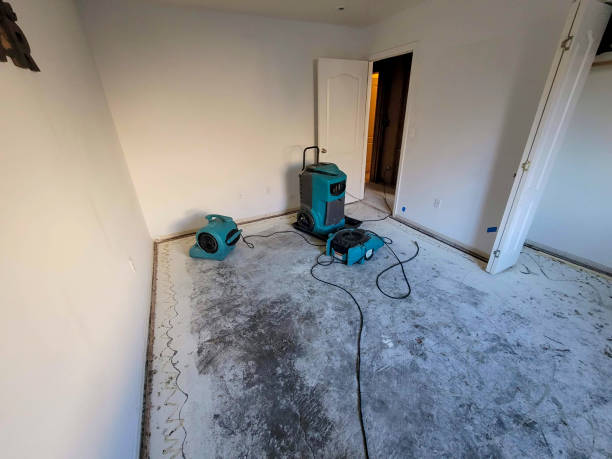 Best Water damage cleanup near me  in Pollock Pines, CA