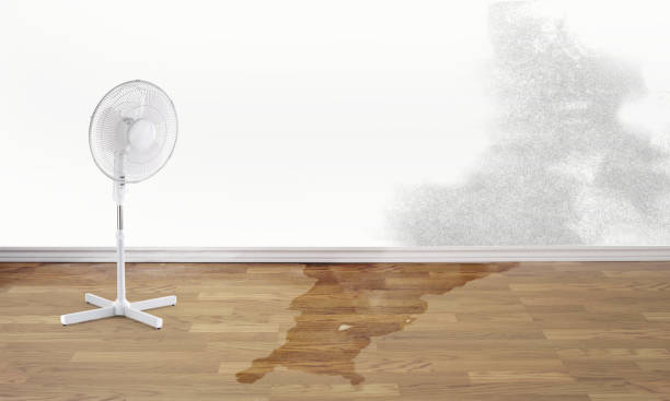 Best Basement water damage restoration  in Pollock Pines, CA