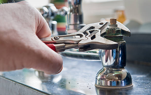 Best Flood damage cleanup  in Pollock Pines, CA
