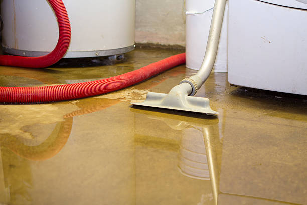 Best Local water damage restoration  in Pollock Pines, CA