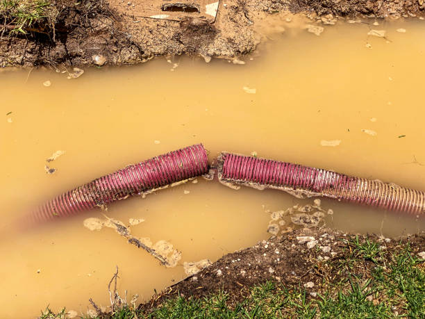 Best Water damage restoration near me  in Pollock Pines, CA