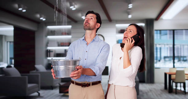 Best Mold removal after water damage  in Pollock Pines, CA