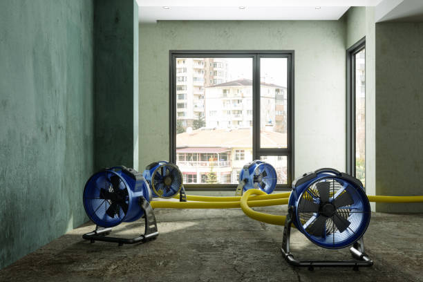 Best Carpet water damage restoration  in Pollock Pines, CA